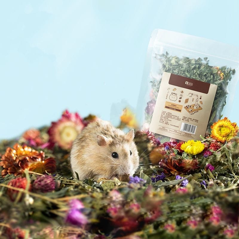 How Much Lavender Can You Give a Hamster?