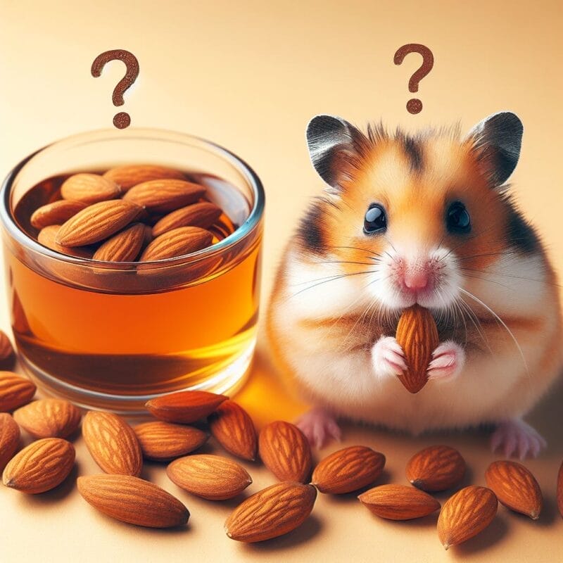 Risks of feeding Almonds to hamster