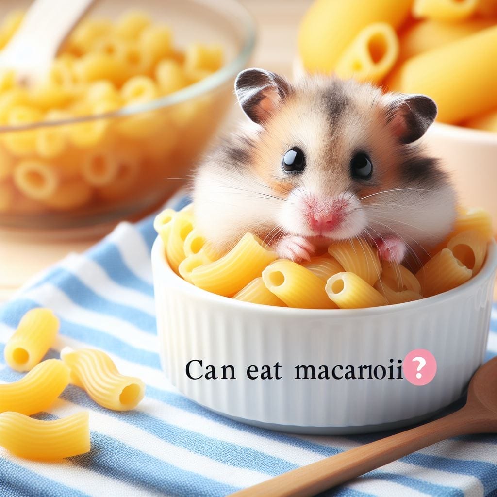 Risk of feeding Macaroni to hamster